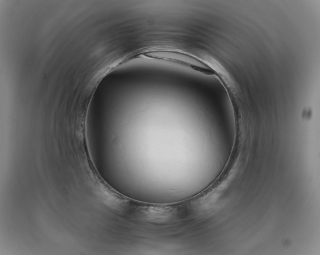 X0000090860857200707271227