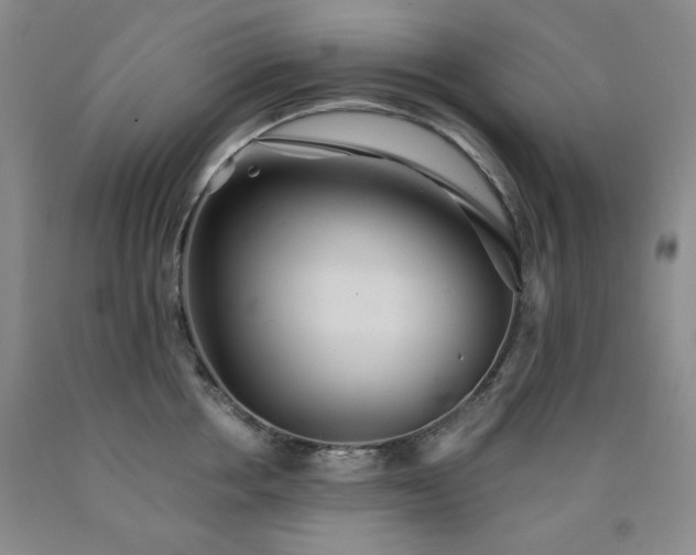 X0000090860858200707271227