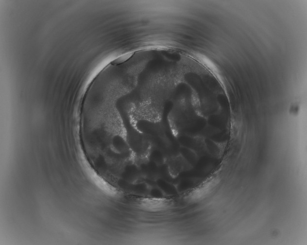 X0000090860859200707271227