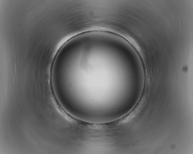 X0000090860862200707271227