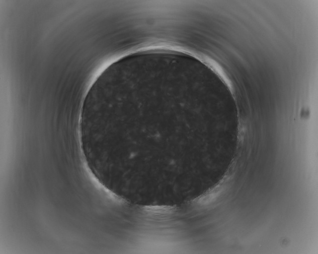 X0000090860863200707271227