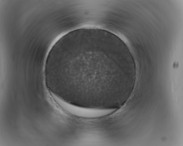 X0000090860864200707271227