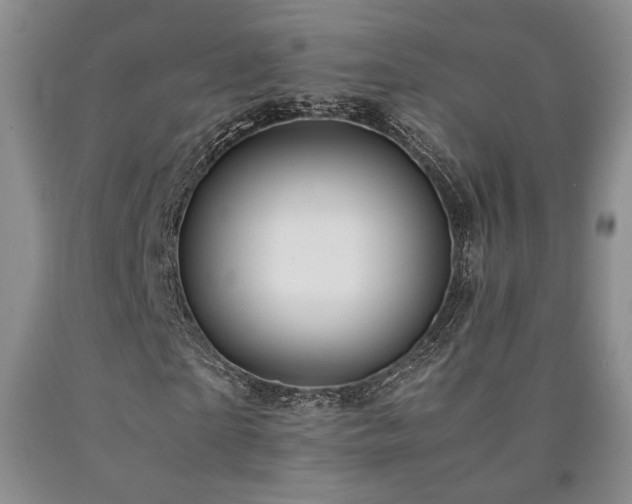 X0000090860865200707271226