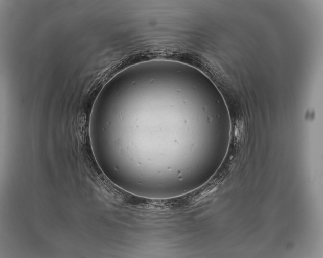 X0000090860867200707271226