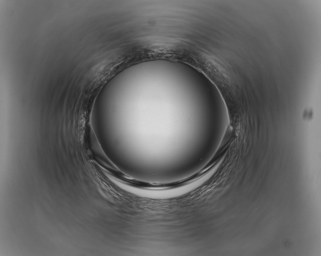 X0000090860868200707271226