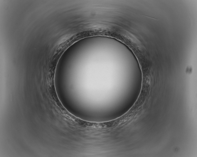 X0000090860869200707271226