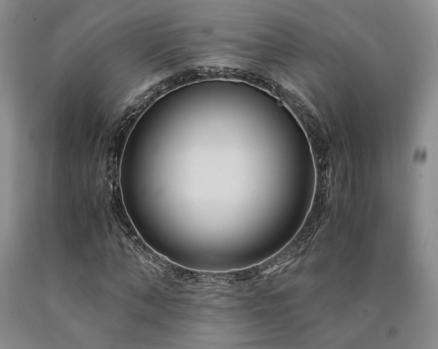 X0000090860870200707271226