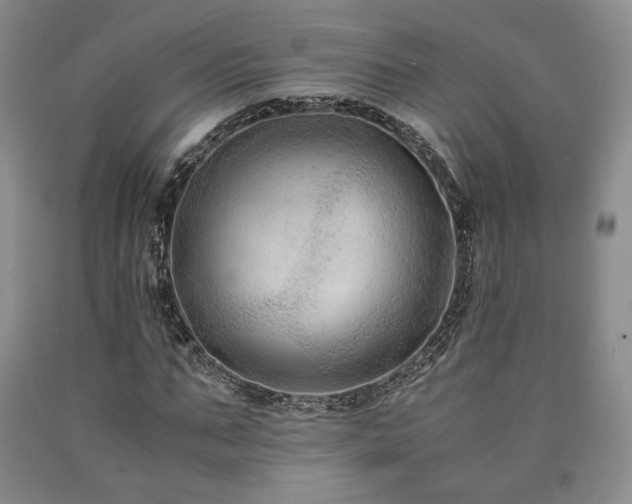 X0000090860871200707271226