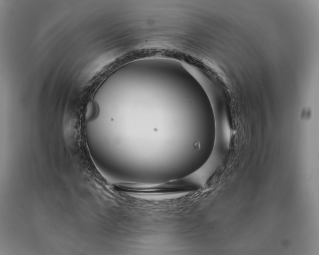 X0000090860872200707271226