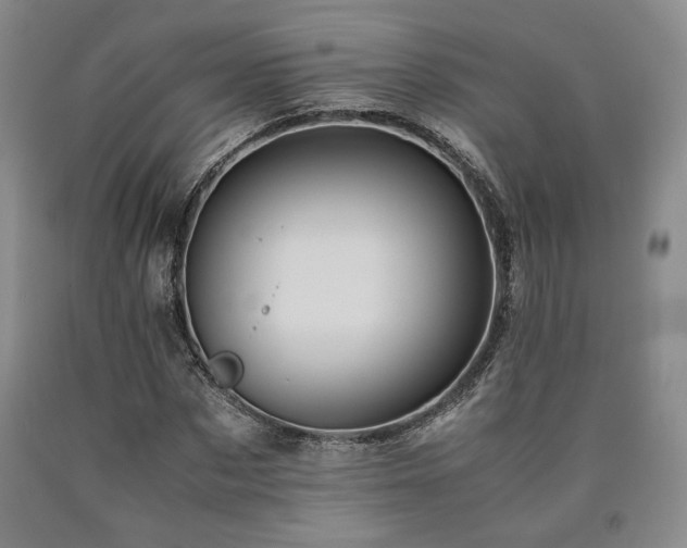 X0000090860873200707271226