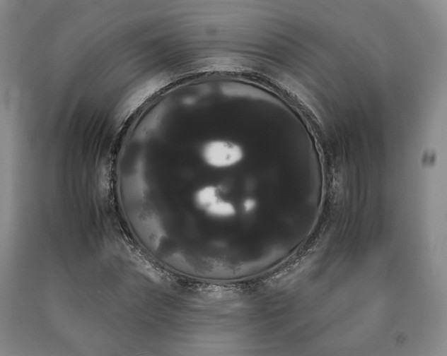 X0000090860874200707271226