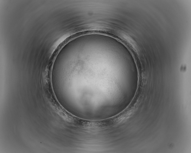 X0000090860875200707271226