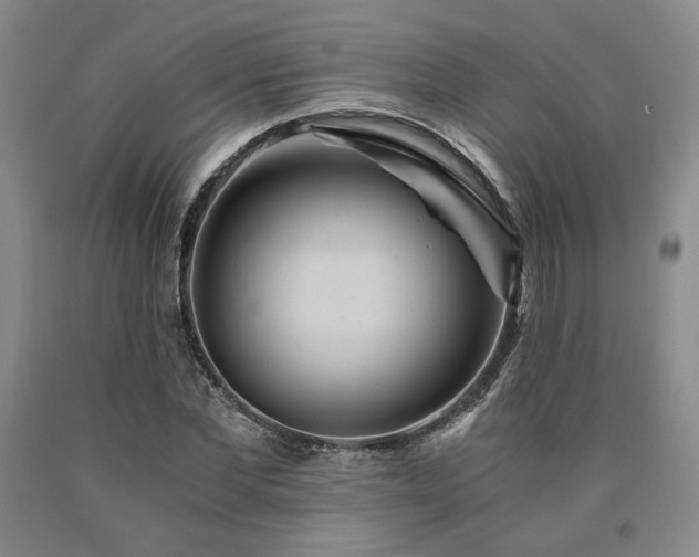 X0000090860877200707271226