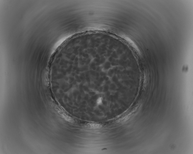 X0000090860878200707271226