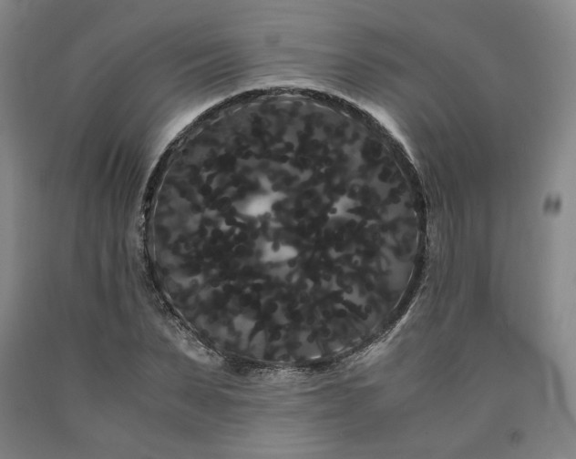 X0000090860879200707271226