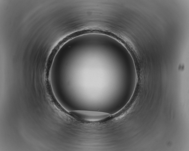 X0000090860880200707271226