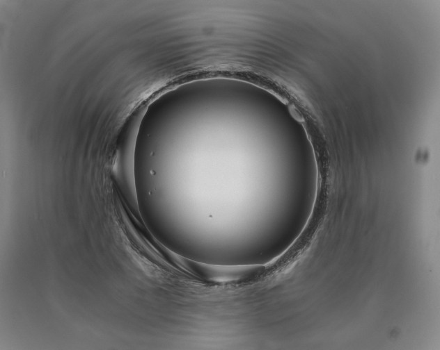 X0000090860881200707271226