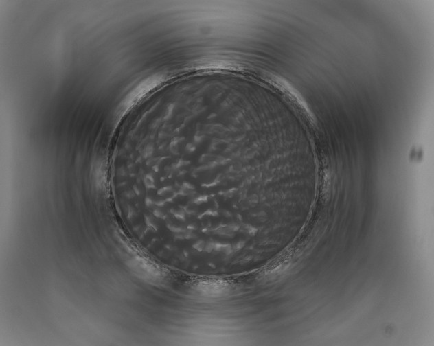 X0000090860882200707271226