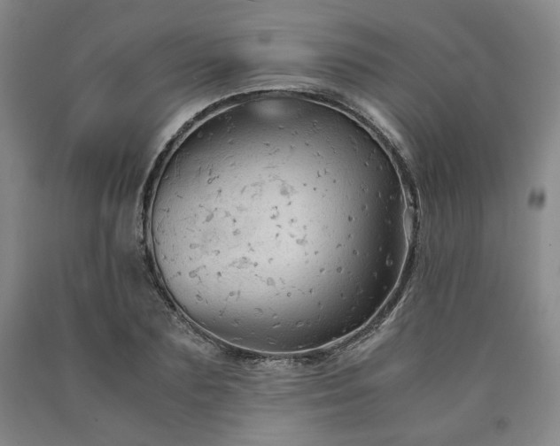 X0000090860883200707271226