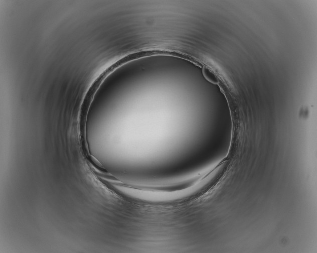 X0000090860884200707271226