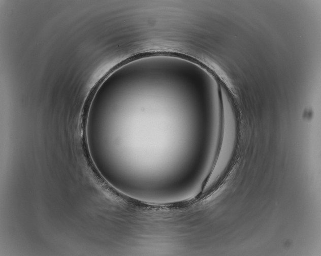 X0000090860885200707271226