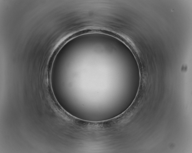 X0000090860887200707271226