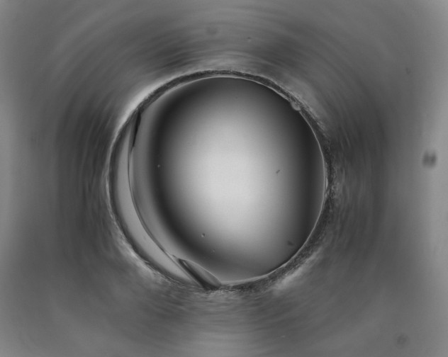 X0000090860888200707271226