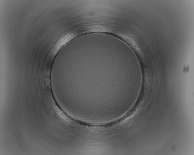 X0000090860889200707271226