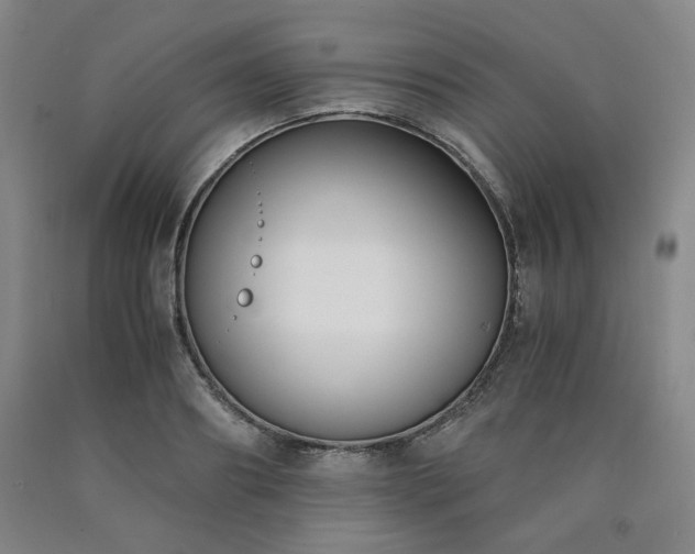 X0000090860890200707271226