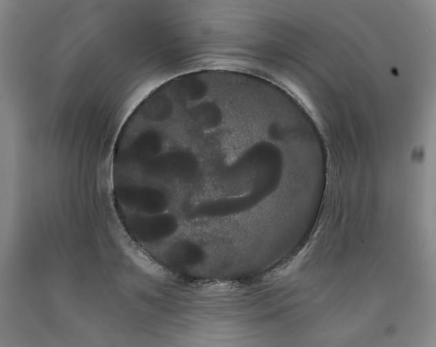 X0000090860891200707271226