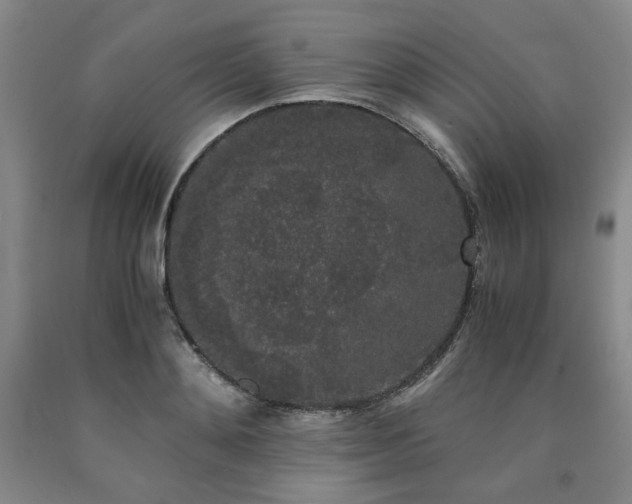 X0000090860892200707271226