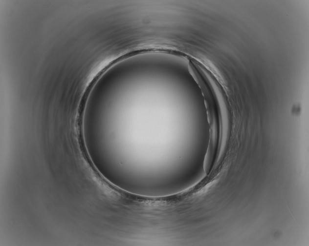 X0000090860893200707271226