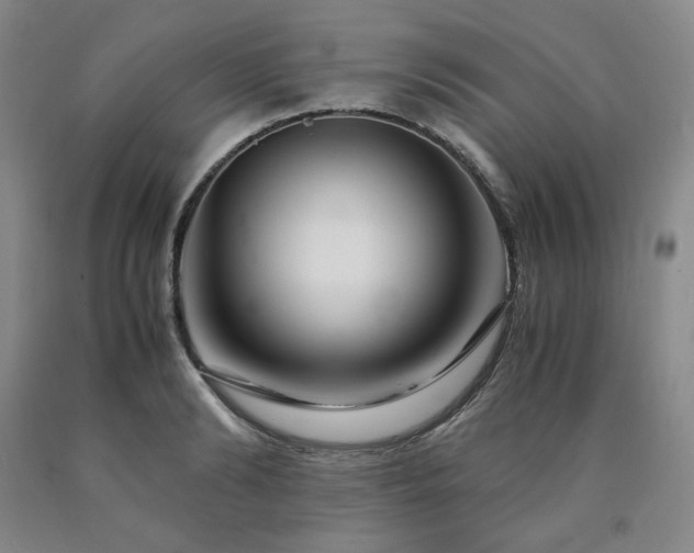 X0000090860894200707271226