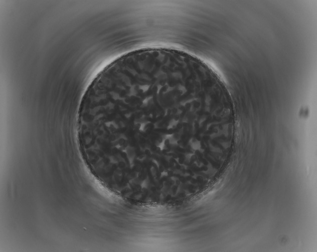 X0000090860895200707271226
