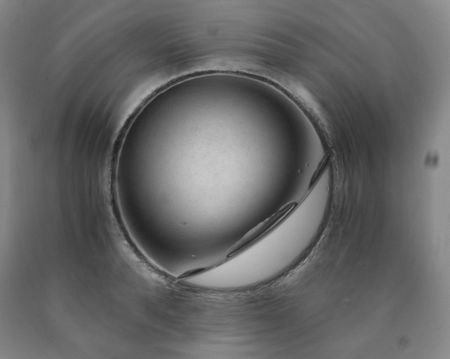 X0000090860896200707271226