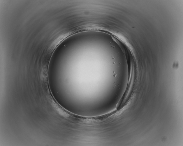 X0000090860897200707271226