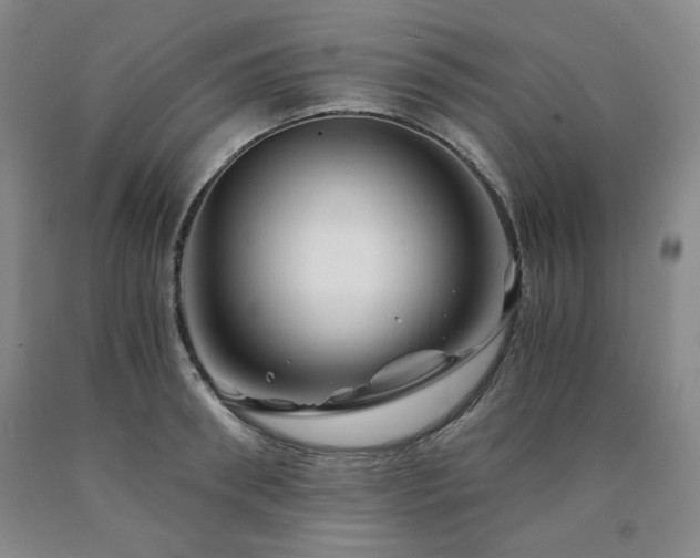 X0000090860898200707271226
