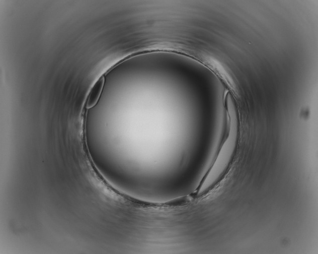 X0000090860900200707271226
