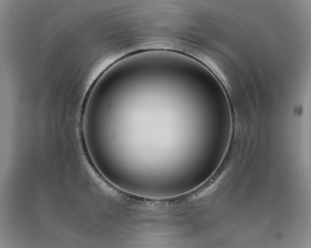 X0000090860901200707271226