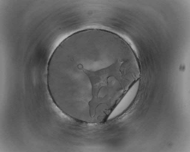 X0000090860903200707271226