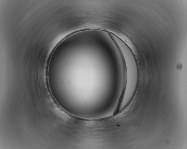 X0000090860904200707271226