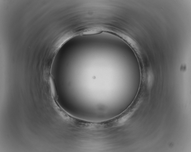 X0000090860905200707271226