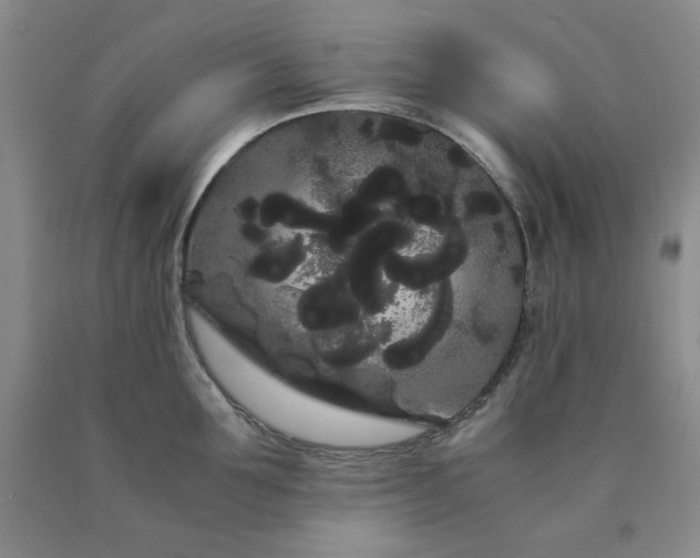 X0000090860907200707271226