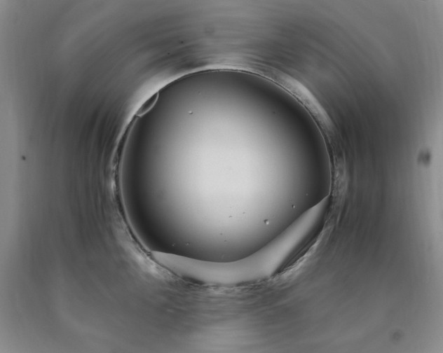 X0000090860908200707271226