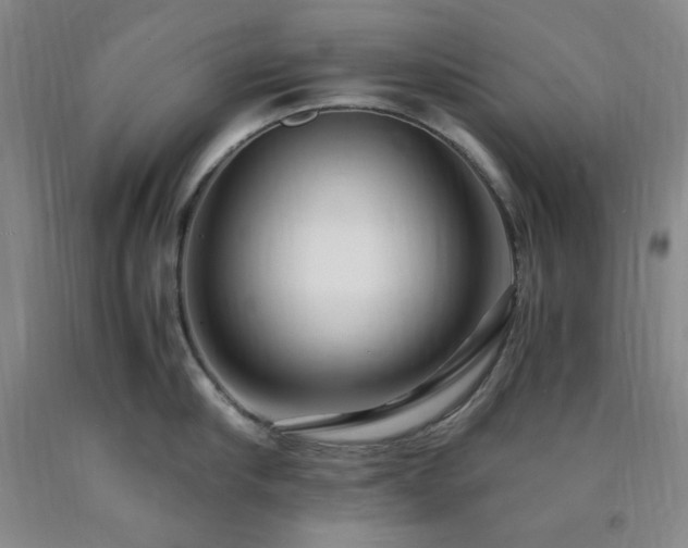 X0000090860910200707271226