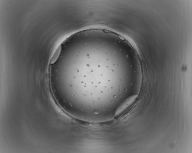 X0000090860911200707271226