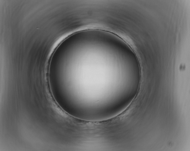 X0000090860912200707271226