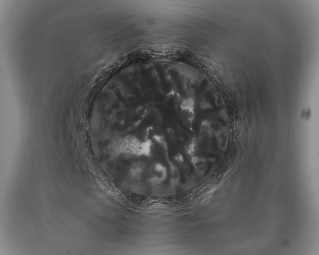X0000090860913200707271225