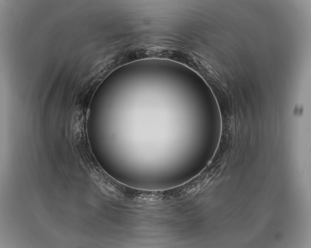 X0000090860914200707271225