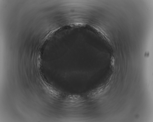 X0000090860915200707271225